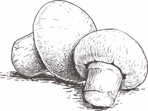 button-mushroom-bg-01